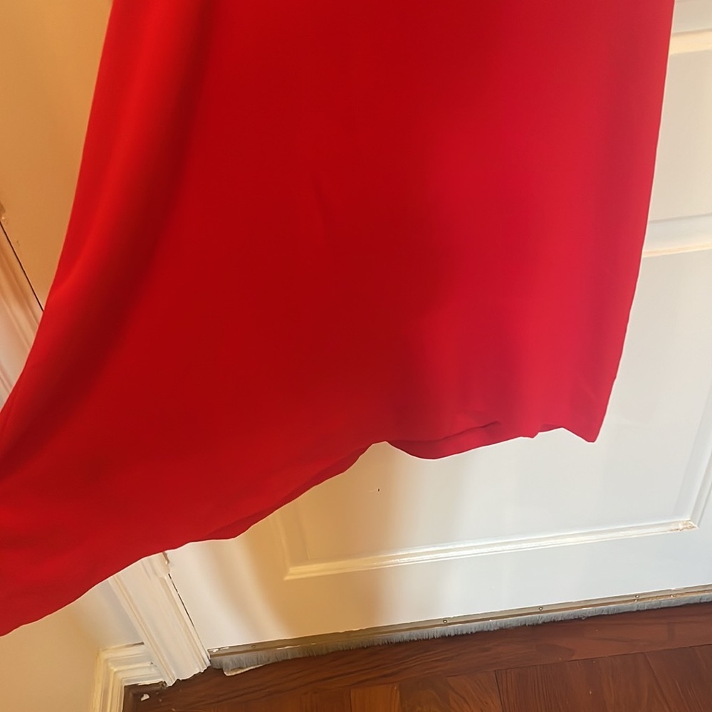 Red Shift Mini Dress - Picture 4 of 4